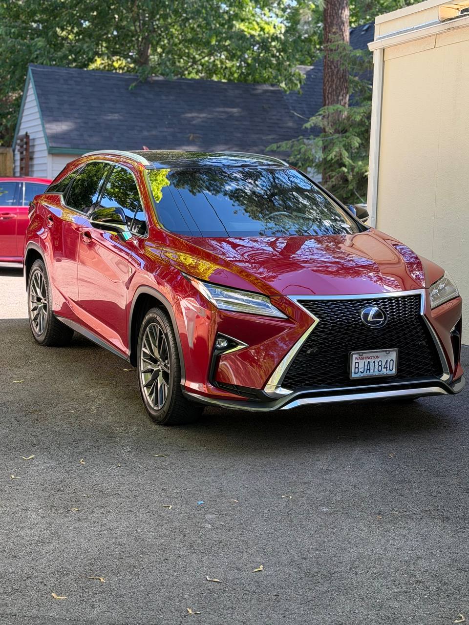 Red Lexus RX F Sport detailed in Spokane